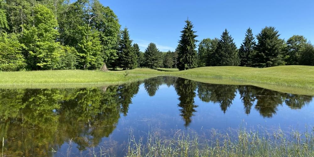 Riverwood Resort
