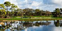 golf article