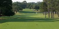 golf article