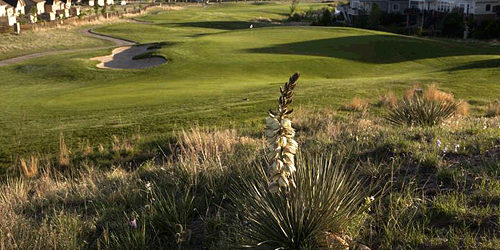 Saddle Rock Golf Course