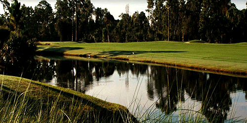Bent Pine Golf Club