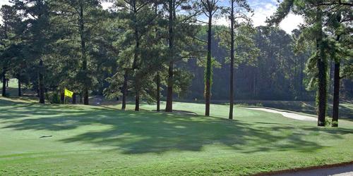 Foxfire Resort - Grey Fox