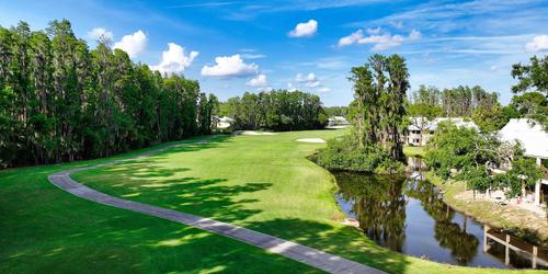 Saddlebrook Resort
