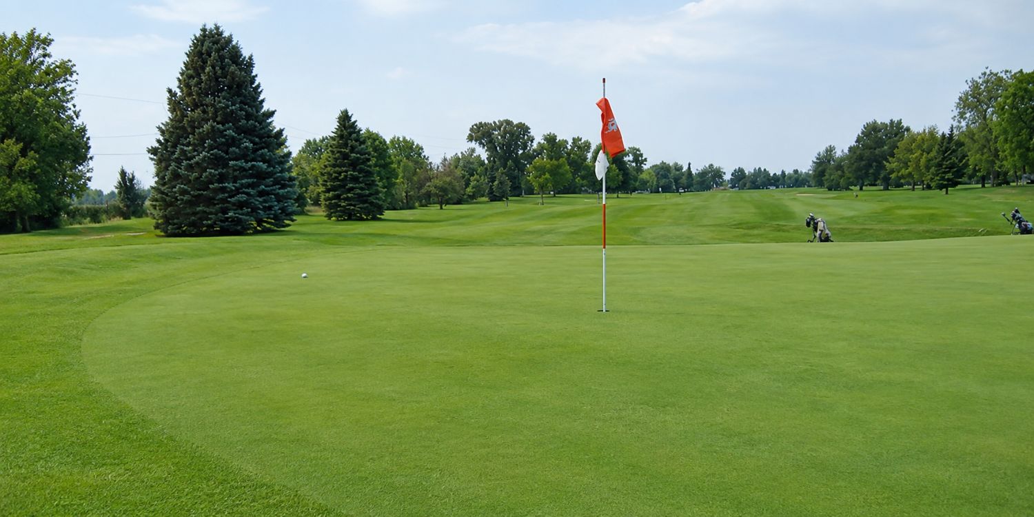 Lockport Golf and Recreation Club